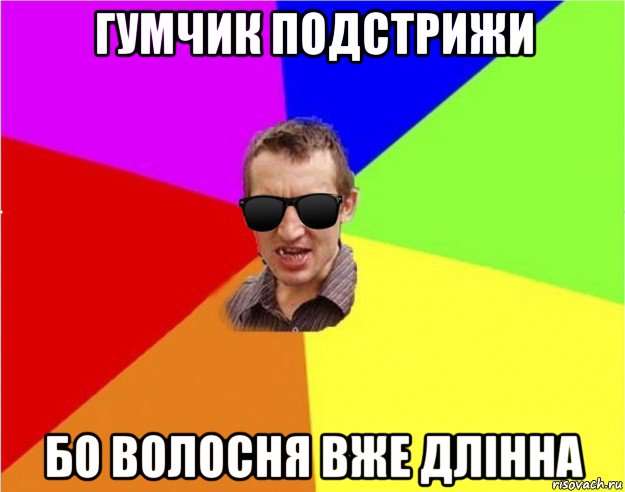 гумчик подстрижи бо волосня вже длінна, Мем Чьоткий двiж