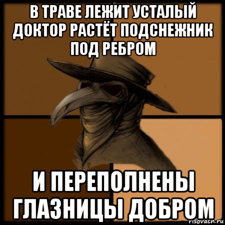 в траве лежит усталый доктор растёт подснежник под ребром и переполнены глазницы добром, Мем  Чума