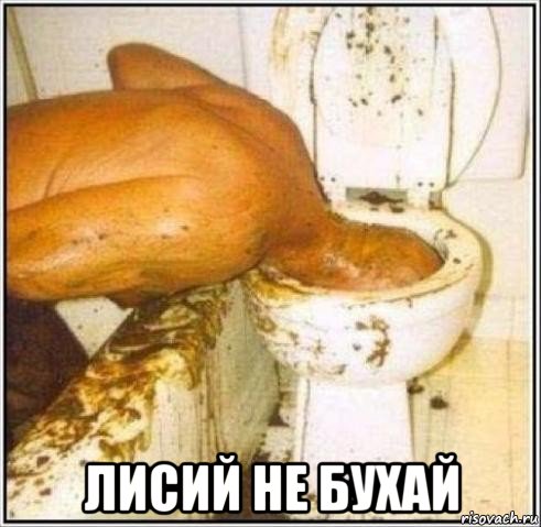  лисий не бухай, Мем Дайвер