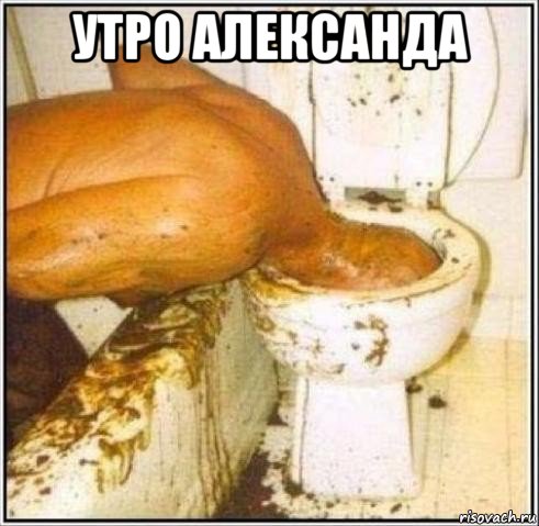 утро александа , Мем Дайвер