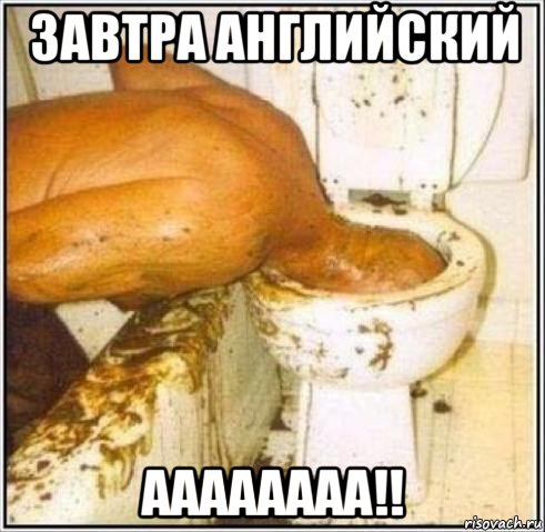 завтра английский аааааааа!!, Мем Дайвер