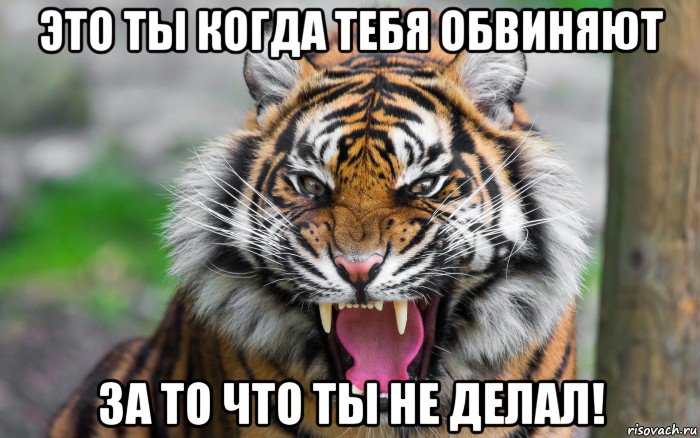 это ты когда тебя обвиняют за то что ты не делал!