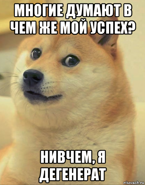 многие думают в чем же мой успех? нивчем, я дегенерат, Мем doge woof