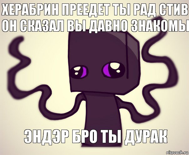 херабрин преедет ты рад стив он сказал вы давно знакомы эндэр бро ты дурак, Комикс Эндербро