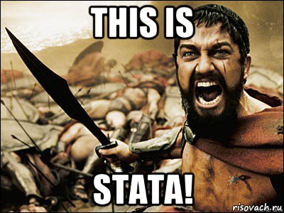 this is stata!, Мем Это Спарта