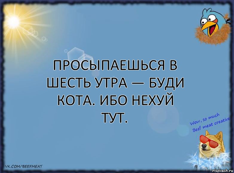 Просыпаешься в шесть утра — буди кота. Ибо нехуй тут., Комикс ФОН