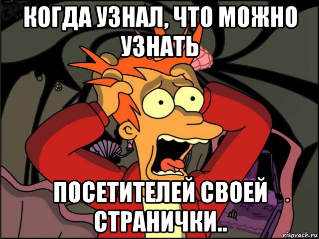 когда узнал, что можно узнать посетителей своей странички.., Мем Фрай в панике