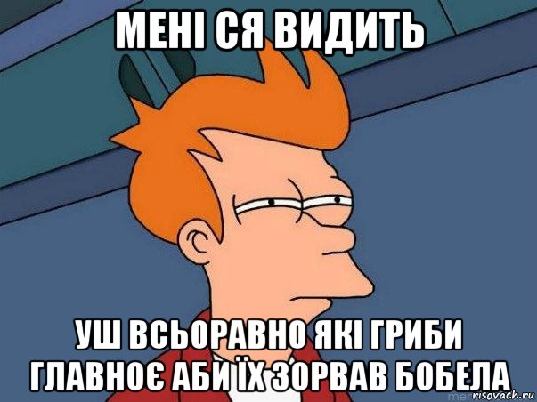 мені ся видить уш всьоравно які гриби главноє аби їх зорвав бобела, Мем  Фрай (мне кажется или)