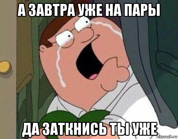 а завтра уже на пары да заткнись ты уже, Мем Гриффин плачет