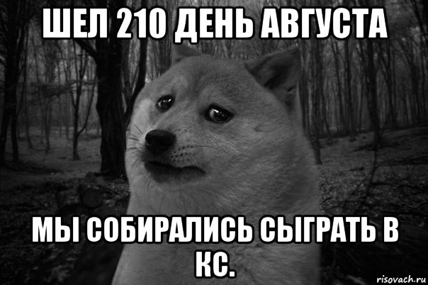 шел 210 день августа мы собирались сыграть в кс., Мем    Грусть-пичаль