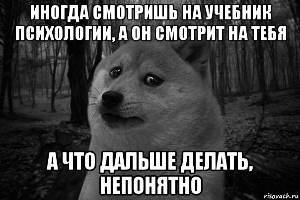 иногда смотришь на учебник психологии, а он смотрит на тебя а что дальше делать, непонятно, Мем    Грусть-пичаль