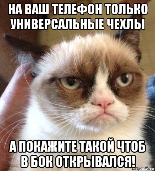 на ваш телефон только универсальные чехлы а покажите такой чтоб в бок открывался!, Мем Грустный (сварливый) кот