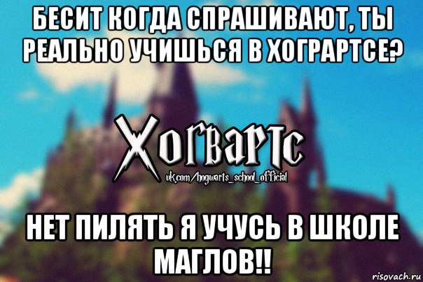 бесит когда спрашивают, ты реально учишься в хограртсе? нет пилять я учусь в школе маглов!!, Мем Хогвартс