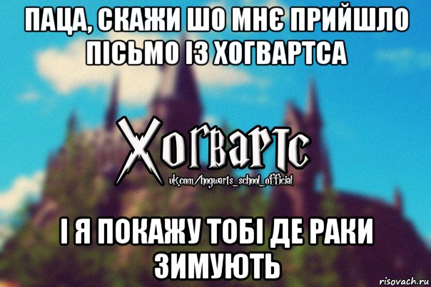 паца, скажи шо мнє прийшло пісьмо із хогвартса і я покажу тобі де раки зимують, Мем Хогвартс