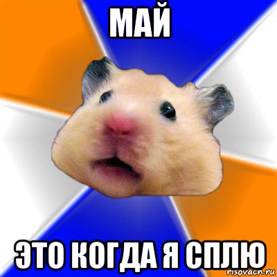 май это когда я сплю