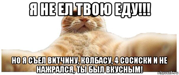 я не ел твою еду!!! но я съел витчину, колбасу, 4 сосиски и не нажрался, ты был вкусным!, Мем   Кэтсвилл