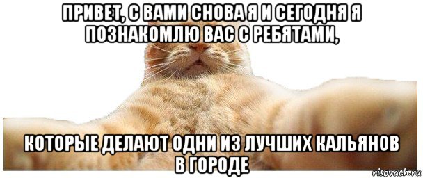 привет, с вами снова я и сегодня я познакомлю вас с ребятами, которые делают одни из лучших кальянов в городе, Мем   Кэтсвилл