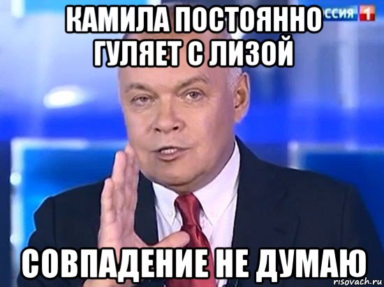 камила постоянно гуляет с лизой совпадение не думаю, Мем Киселёв 2014