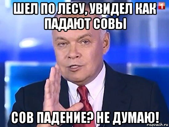 шел по лесу, увидел как падают совы сов падение? не думаю!, Мем Киселёв 2014