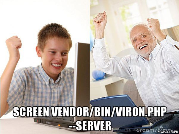  screen vendor/bin/viron.php --server