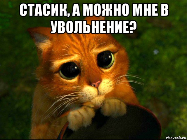 стасик, а можно мне в увольнение? , Мем кот из шрека