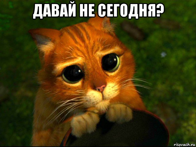 давай не сегодня? , Мем кот из шрека