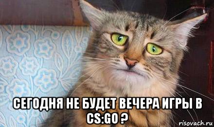  сегодня не будет вечера игры в cs:go ?, Мем  кот печаль