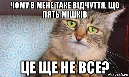 чому в мене таке відчуття, що пять мішків це ще не все?, Мем  кот печаль