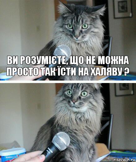 Ви розумієте, що не можна просто так їсти на халяву ? , Комикс  кот с микрофоном