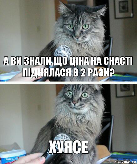 А ви знали,що ціна на снасті піднялася в 2 рази? хуясе, Комикс  кот с микрофоном