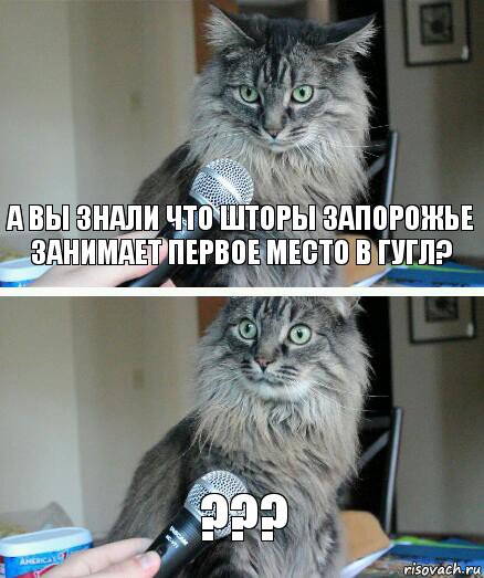 а вы знали что шторы запорожье занимает первое место в гугл? ???, Комикс  кот с микрофоном