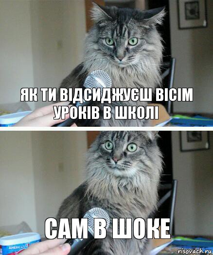 Як ти відсиджуєш вісім уроків в школі САМ В ШОКЕ, Комикс  кот с микрофоном