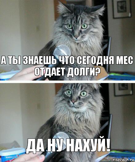 А ты знаешь что сегодня мес отдает долги? Да ну нахуй!, Комикс  кот с микрофоном