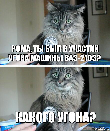 Рома, ты был в участии угона машины ВАЗ-2103? Какого угона?, Комикс  кот с микрофоном