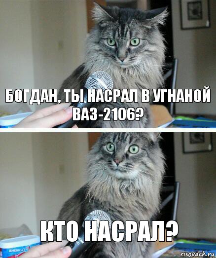 Богдан, ты насрал в угнаной ВАЗ-2106? Кто насрал?, Комикс  кот с микрофоном