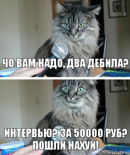 Чо вам надо, два дебила? Интервью? За 50000 руб? Пошли нахуй!, Комикс  кот с микрофоном