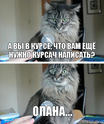 А вы в курсе, что вам ещё нужно курсач написать? Опана..., Комикс  кот с микрофоном