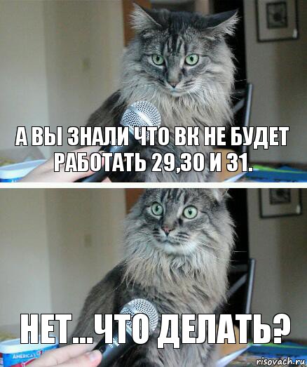 а вы знали что вк не будет работать 29,30 и 31. Нет...Что делать?, Комикс  кот с микрофоном