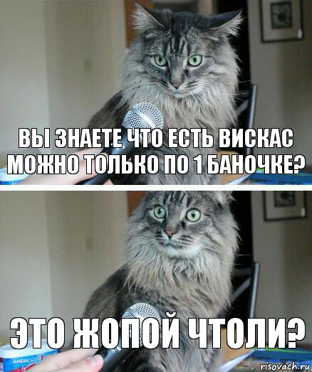 Вы знаете что есть вискас можно только по 1 баночке? Это жопой чтоли?, Комикс  кот с микрофоном