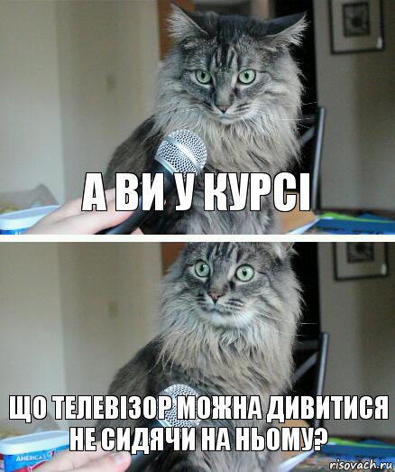 А ви у курсі що телевізор можна дивитися не сидячи на ньому?, Комикс  кот с микрофоном