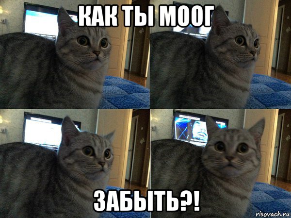 как ты моог забыть?!