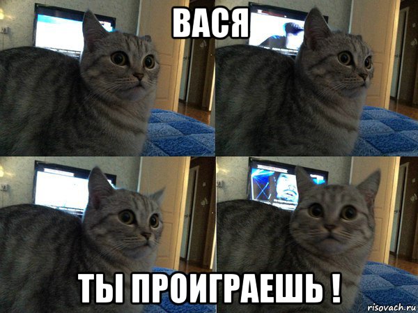 вася ты проиграешь !, Мем  Кот в шоке