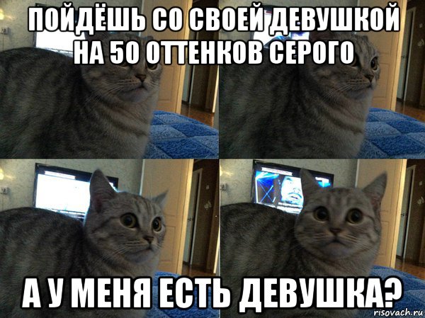 пойдёшь со своей девушкой на 50 оттенков серого а у меня есть девушка?, Мем  Кот в шоке