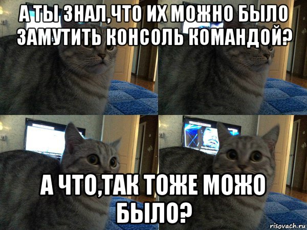 а ты знал,что их можно было замутить консоль командой? а что,так тоже можо было?, Мем  Кот в шоке