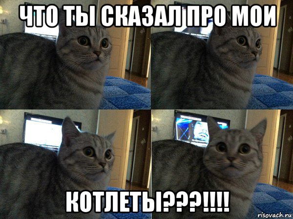 что ты сказал про мои котлеты???!!!!