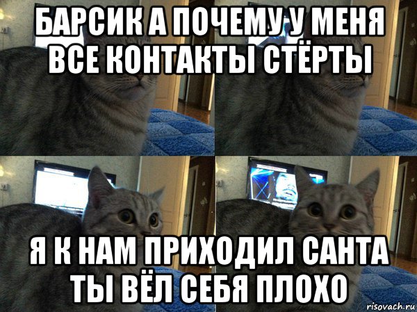 барсик а почему у меня все контакты стёрты я к нам приходил санта ты вёл себя плохо