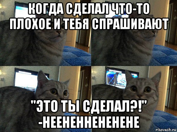 когда сделал что-то плохое и тебя спрашивают "это ты сделал?!" -неененнененене