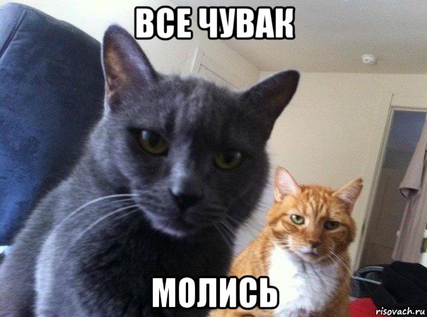 все чувак молись, Мем  Два котэ