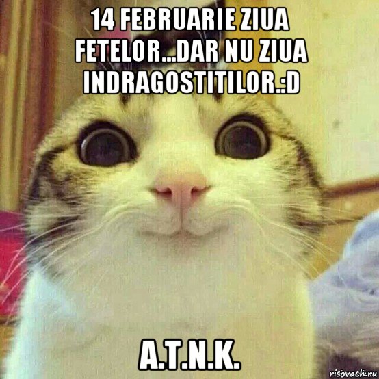 14 februarie ziua fetelor...dar nu ziua indragostitilor.:d a.t.n.k., Мем       Котяка-улыбака