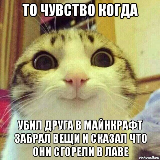 то чувство когда убил друга в майнкрафт забрал вещи и сказал что они сгорели в лаве, Мем       Котяка-улыбака